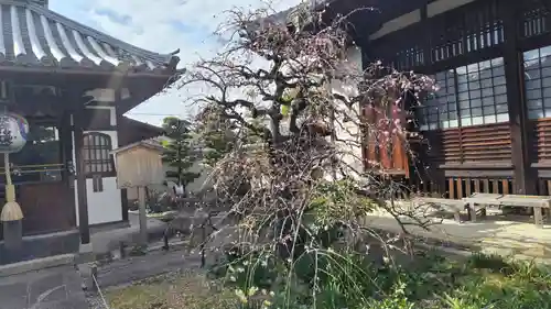祐正寺(京都府)
