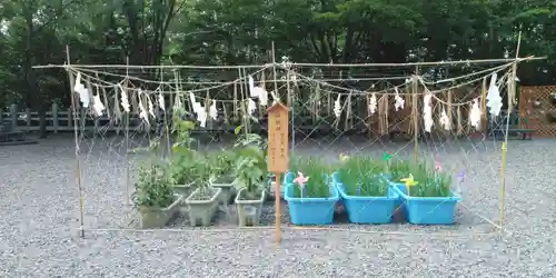 上川神社の庭園