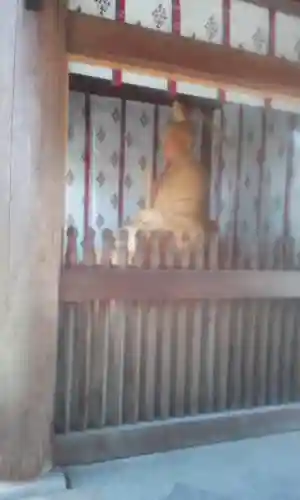 須賀神社の本殿・本堂