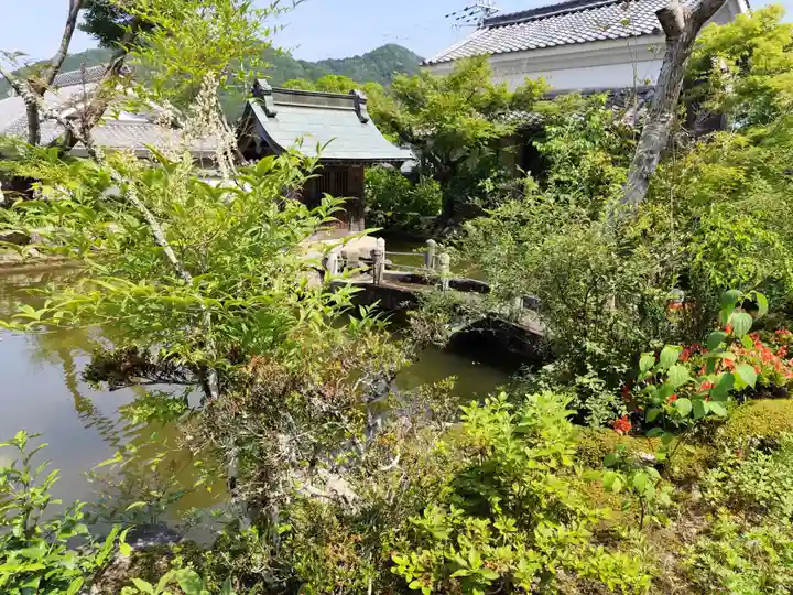 金剛城寺(兵庫県)