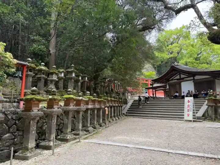 春日大社 若宮(春日若宮)の{uncategorized: "未分類", other: "その他", undefined: "問題あり", building: "その他建物", grave: "お墓", sacred_gate: "鳥居", guardian: "狛犬", statue: "像", buddha: "仏像", history: "歴史", nature: "自然", garden: "庭園", animal: "動物", pagoda: "塔", temizu: "手水舎", mountain_gate: "山門・神門", sanctuary: "本殿・本堂", subordinate: "末社・摂社", art: "芸術", scenery: "景色", jizo: "地蔵", ema: "絵馬", goshuin: "御朱印", omikuji: "おみくじ", items: "授与品その他", amulet: "お守り", goshuincho: "御朱印帳", eats: "食事", festival: "お祭り", votive_dance: "神楽", shichigosan: "七五三参", wedding: "結婚式", experience: "体験その他", initially: "初詣", around: "周辺", anti_infection: "感染症対策"}