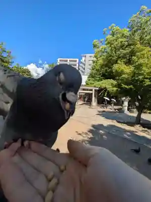 四柱神社(長野県)
