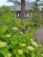 蓮華王院(三十三間堂)(京都府)