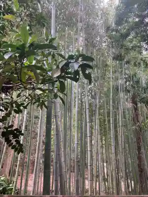 寿福寺(神奈川県)