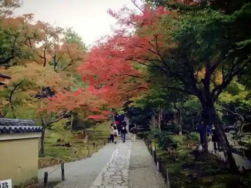 高台寺（高台寿聖禅寺・高臺寺）の建物その他