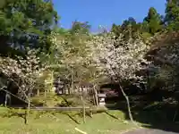 金屋子神社の自然