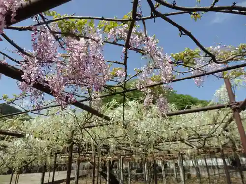 長泉寺の景色