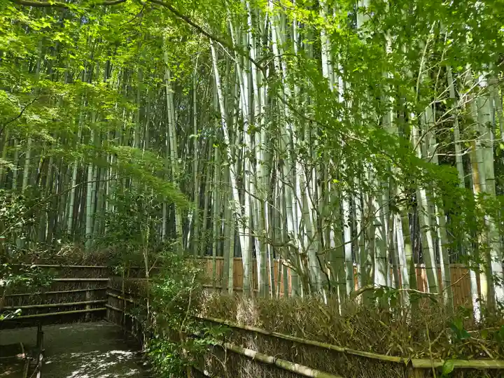 祇王寺(京都府)
