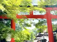 賀茂御祖神社(下鴨神社)(京都府)