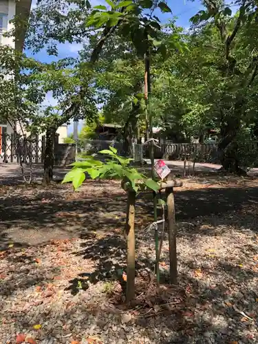 天鷹神社(岐阜県)