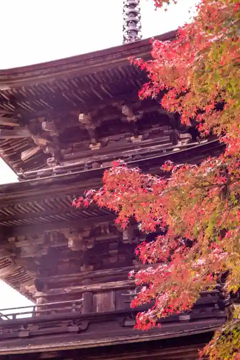 新海三社神社(長野県)
