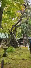 蠶養國神社の周辺