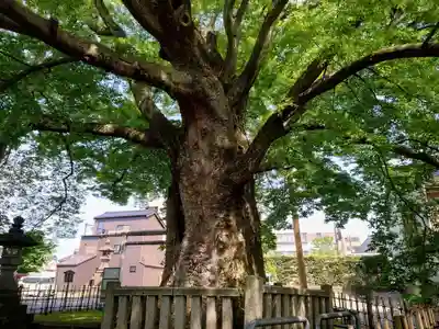 神明宮(石川県)