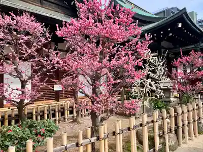 大阪天満宮(大阪府)