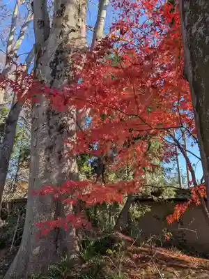 最勝寺(茨城県)