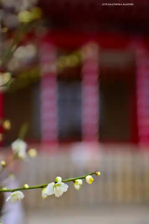 岡村天満宮(神奈川県)