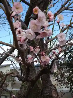 祖母井神社(栃木県)