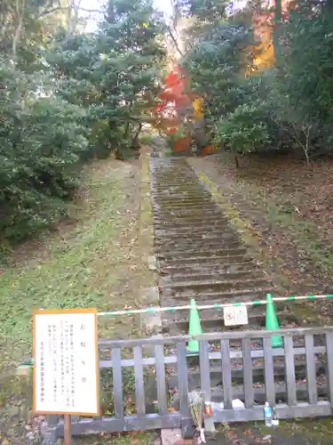 理智光寺跡（理智光寺址）＜史跡＞のお墓