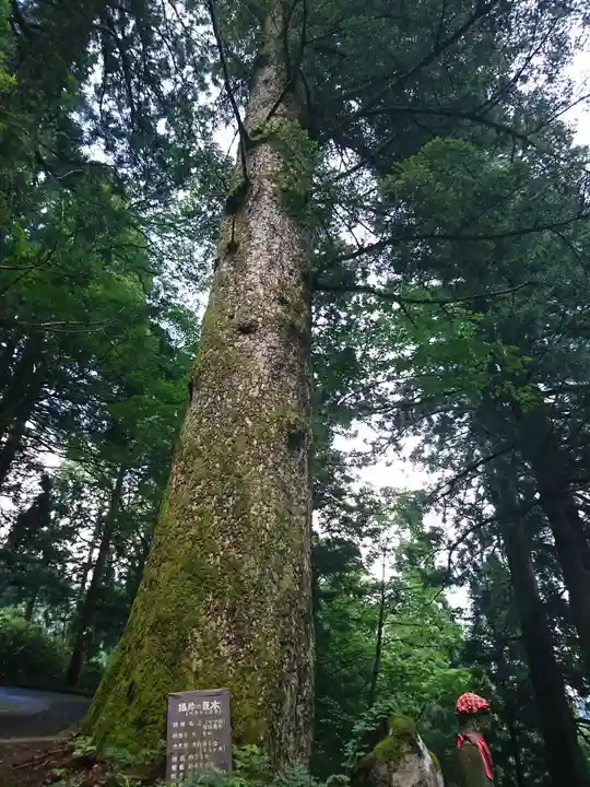 宝慶寺(福井県)