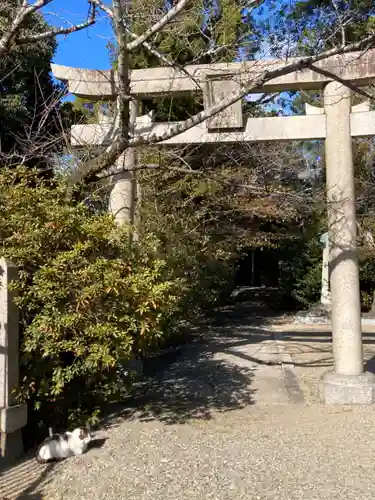 姫路神社の鳥居