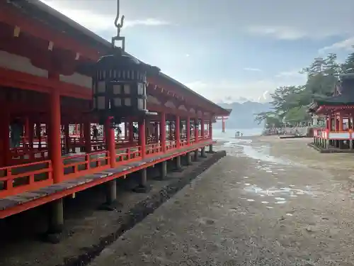 厳島神社(広島県)