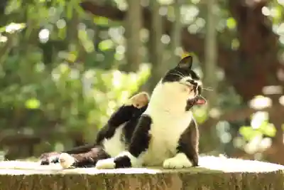 玉野御嶽神社(愛知県)