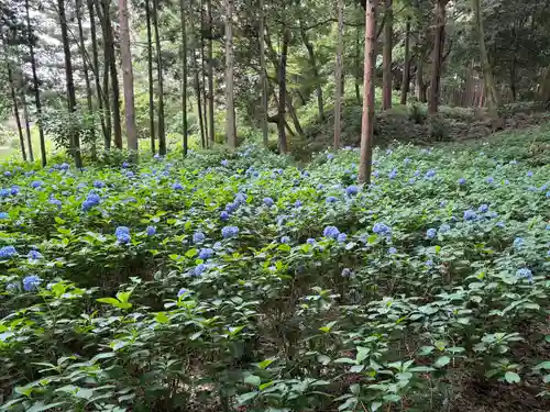 大宝八幡宮(茨城県)