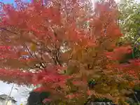 安養院(滋賀県)