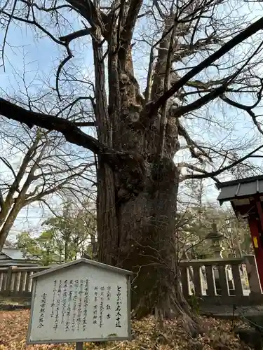 一之宮貫前神社(群馬県)
