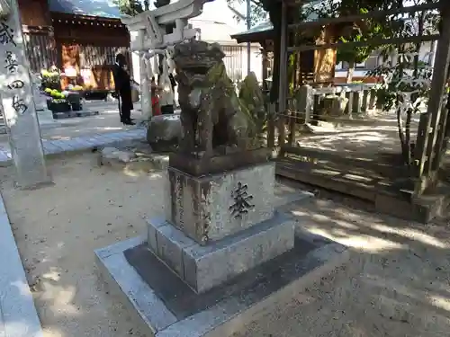 古賀神社の狛犬