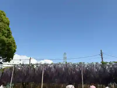 白旗神社(神奈川県)