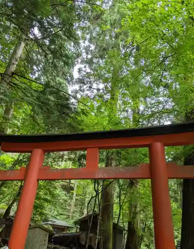 貴船神社奥宮の鳥居