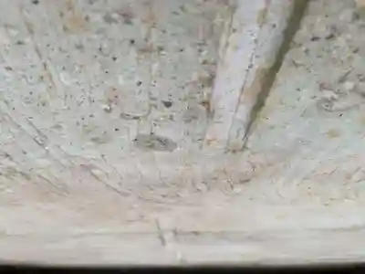 加茂河原石切不動尊(福井県)