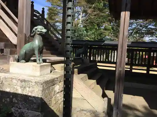 武蔵御嶽神社の狛犬