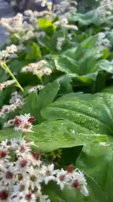大鏑神社(福島県)