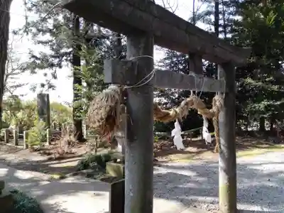 下野 星宮神社の鳥居