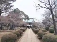 豪徳寺の{uncategorized: "未分類", other: "その他", undefined: "問題あり", building: "その他建物", grave: "お墓", sacred_gate: "鳥居", guardian: "狛犬", statue: "像", buddha: "仏像", history: "歴史", nature: "自然", garden: "庭園", animal: "動物", pagoda: "塔", temizu: "手水舎", mountain_gate: "山門・神門", sanctuary: "本殿・本堂", subordinate: "末社・摂社", art: "芸術", scenery: "景色", jizo: "地蔵", ema: "絵馬", goshuin: "御朱印", omikuji: "おみくじ", items: "授与品その他", amulet: "お守り", goshuincho: "御朱印帳", eats: "食事", festival: "お祭り", votive_dance: "神楽", shichigosan: "七五三参", wedding: "結婚式", experience: "体験その他", initially: "初詣", around: "周辺", anti_infection: "感染症対策"}