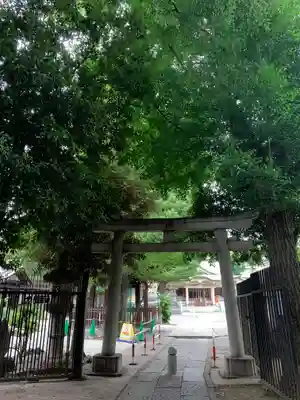 荻窪白山神社の鳥居
