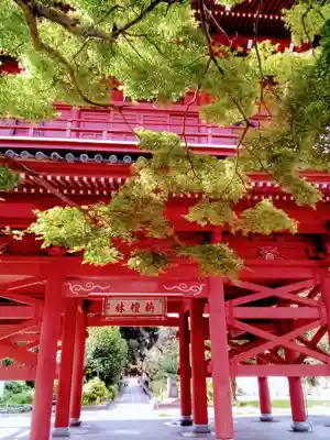 大巌寺の山門・神門
