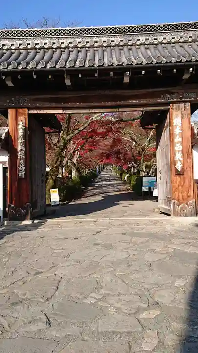 西教寺の山門・神門