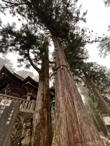 三峯神社の{uncategorized: "未分類", other: "その他", undefined: "問題あり", building: "その他建物", grave: "お墓", sacred_gate: "鳥居", guardian: "狛犬", statue: "像", buddha: "仏像", history: "歴史", nature: "自然", garden: "庭園", animal: "動物", pagoda: "塔", temizu: "手水舎", mountain_gate: "山門・神門", sanctuary: "本殿・本堂", subordinate: "末社・摂社", art: "芸術", scenery: "景色", jizo: "地蔵", ema: "絵馬", goshuin: "御朱印", omikuji: "おみくじ", items: "授与品その他", amulet: "お守り", goshuincho: "御朱印帳", eats: "食事", festival: "お祭り", votive_dance: "神楽", shichigosan: "七五三参", wedding: "結婚式", experience: "体験その他", initially: "初詣", around: "周辺", anti_infection: "感染症対策"}