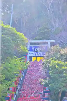 遠見岬神社(千葉県)