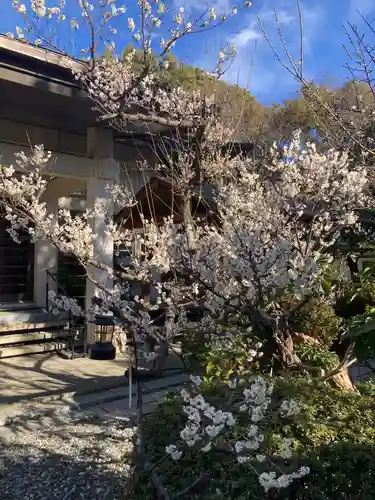 教善寺(神奈川県)