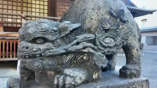 北海道神宮頓宮の狛犬