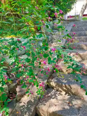 林法寺(奈良県)