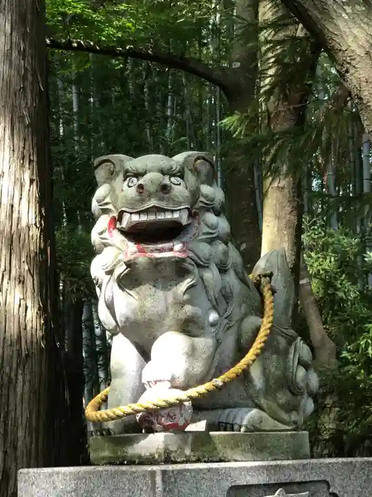 春日神社(福井県)