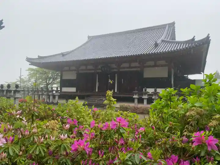 南法華寺(壷阪寺)の{uncategorized: "未分類", other: "その他", undefined: "問題あり", building: "その他建物", grave: "お墓", sacred_gate: "鳥居", guardian: "狛犬", statue: "像", buddha: "仏像", history: "歴史", nature: "自然", garden: "庭園", animal: "動物", pagoda: "塔", temizu: "手水舎", mountain_gate: "山門・神門", sanctuary: "本殿・本堂", subordinate: "末社・摂社", art: "芸術", scenery: "景色", jizo: "地蔵", ema: "絵馬", goshuin: "御朱印", omikuji: "おみくじ", items: "授与品その他", amulet: "お守り", goshuincho: "御朱印帳", eats: "食事", festival: "お祭り", votive_dance: "神楽", shichigosan: "七五三参", wedding: "結婚式", experience: "体験その他", initially: "初詣", around: "周辺", anti_infection: "感染症対策"}