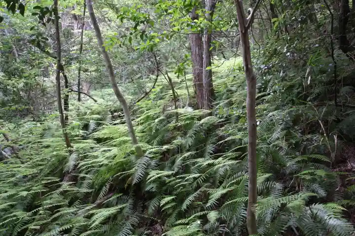 桑實寺(滋賀県)