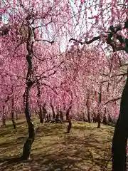 城南宮(京都府)