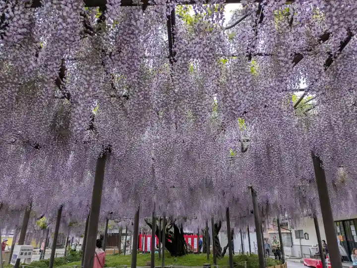 竹鼻別院(岐阜県)